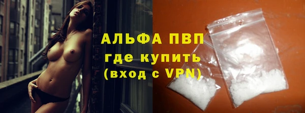 шишки Богородицк