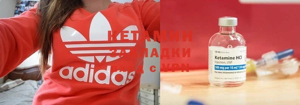 шишки Богородицк