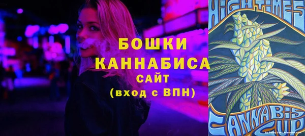 шишки Богородицк
