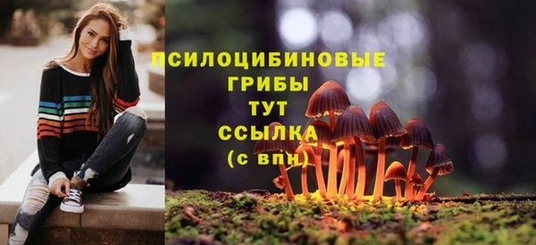 MDMA Богданович