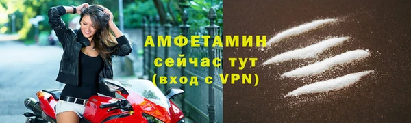 шишки Богородицк